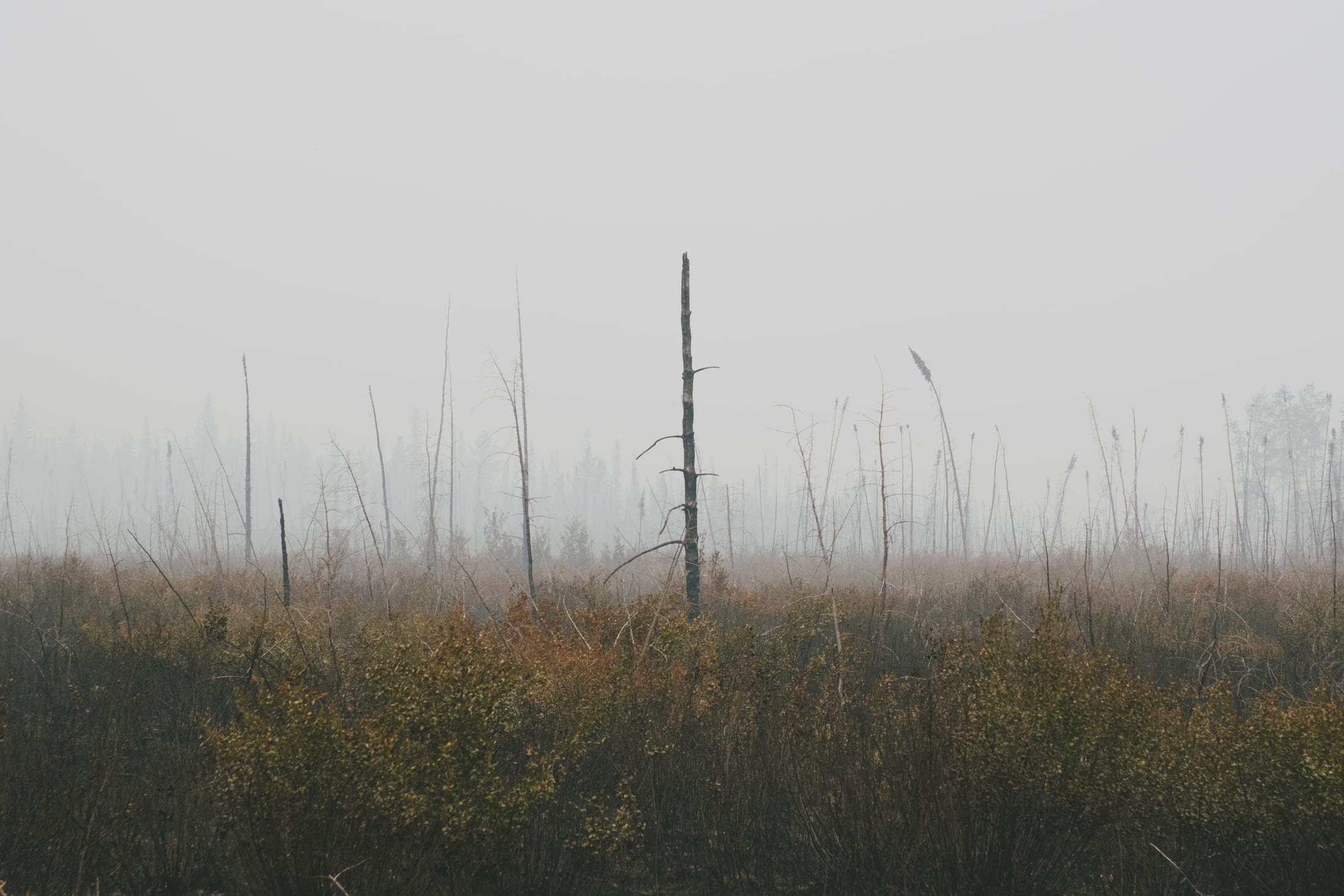 Full-width image