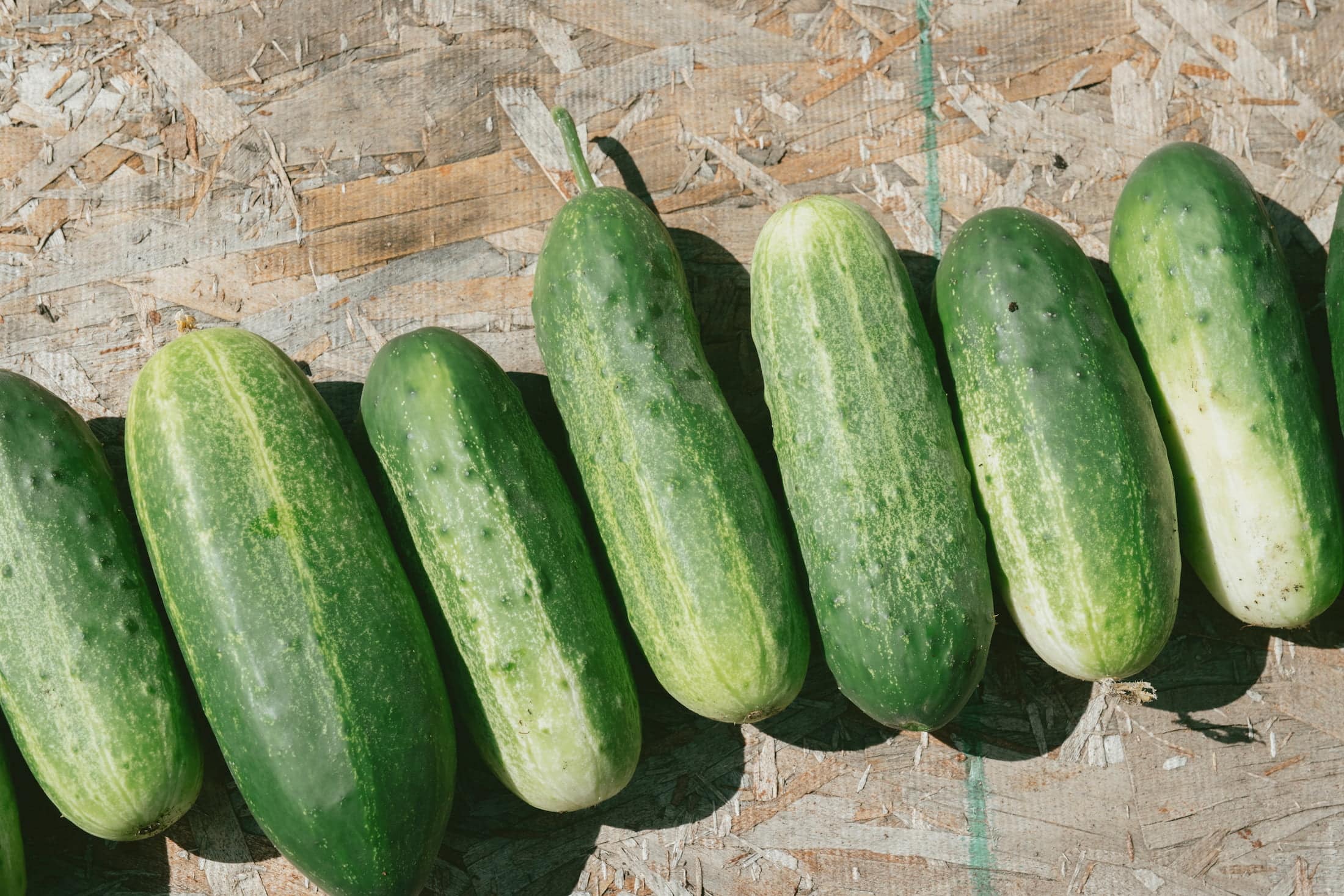 Full-width image