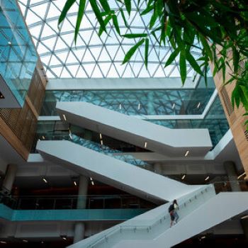 Image - In-demand job experience a key feature of Laurier's Master of Finance program
