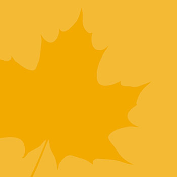 closeup of Laurier leaf