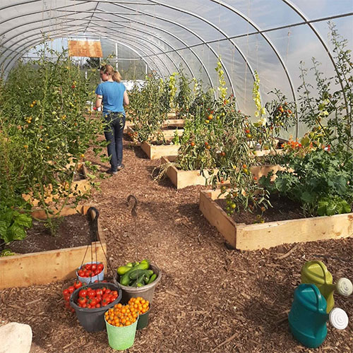 greenhouse in NWT